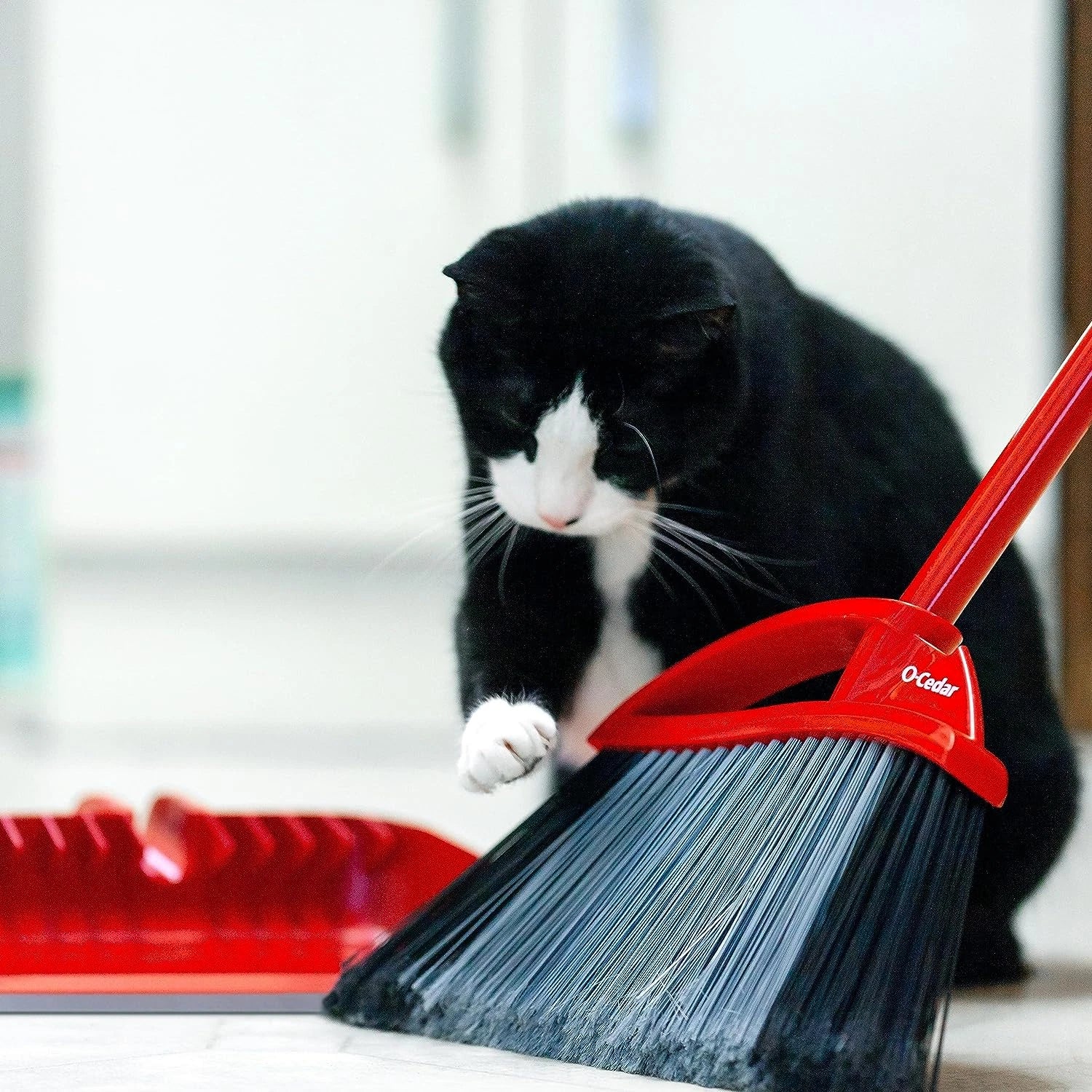 Pet Pro Broom with Step-On Dustpan | Remove 99% with One Sweep | Dustpan Removes