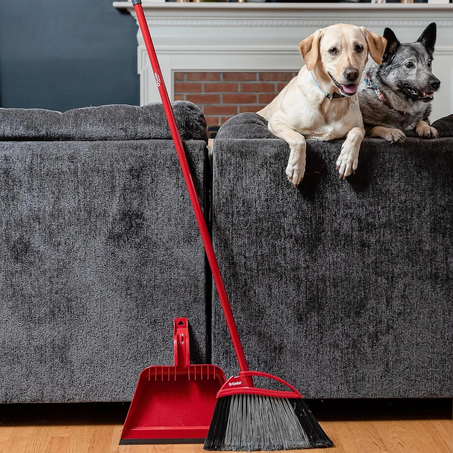 Pet Pro Broom with Step-On Dustpan | Remove 99% with One Sweep | Dustpan Removes