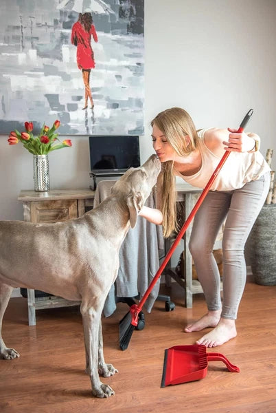 Pet Pro Broom with Step-On Dustpan | Remove 99% with One Sweep | Dustpan Removes