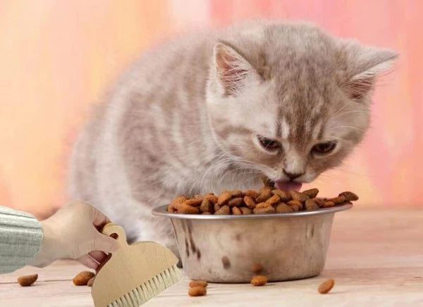 Small Broom Dustpan Set Travel Mini Dust Pan Brush RV Camper Dorm Studio